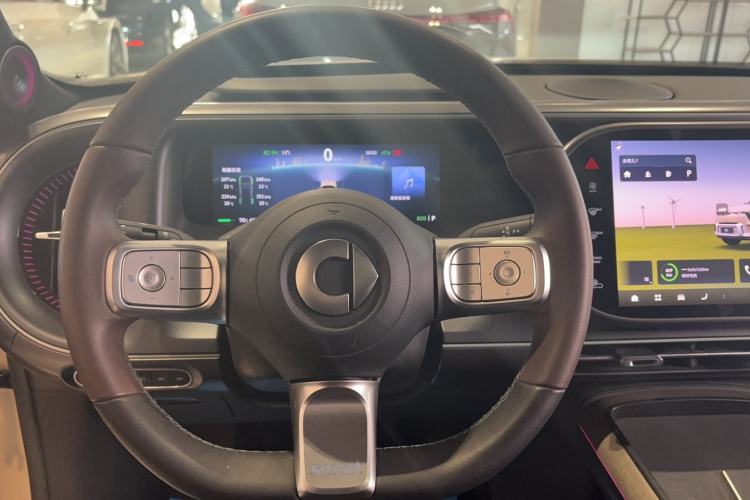 Used  #5 2025 Ultra-Long Range Luxury Four-Wheel Drive Edition