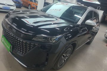 Used Landian E5 2024 Honor Edition 100KM Premium Model 7 Seats