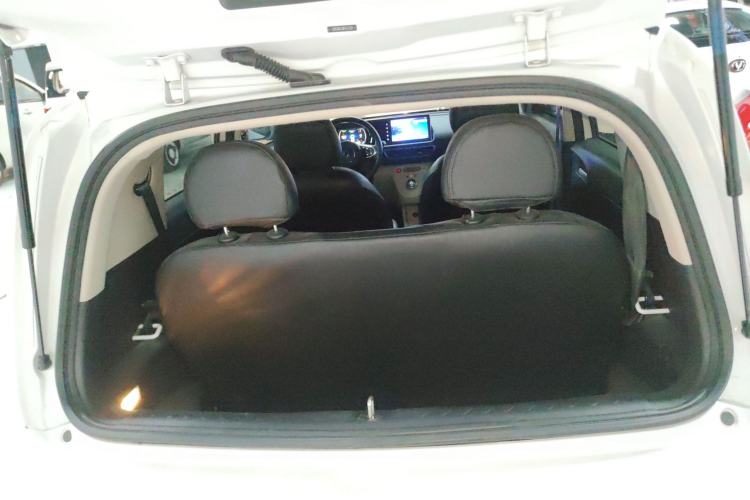 Used ORA White Cat 2020 305 km Luxury Version
