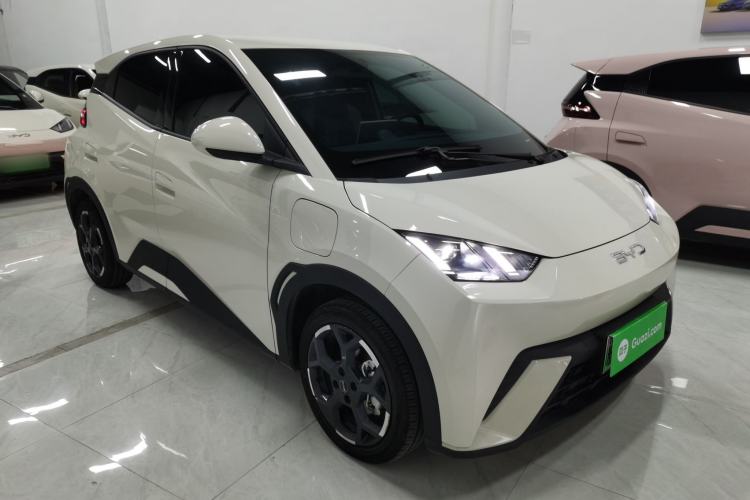 Used BYD Seagull 2025 305 km Free Version
