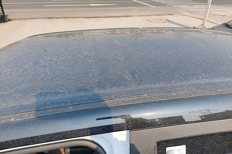 Used Cowin October 2025 Mate 300km Surfing Edition