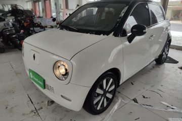 Used ORA Black Cat 2019 351 km Family Edition