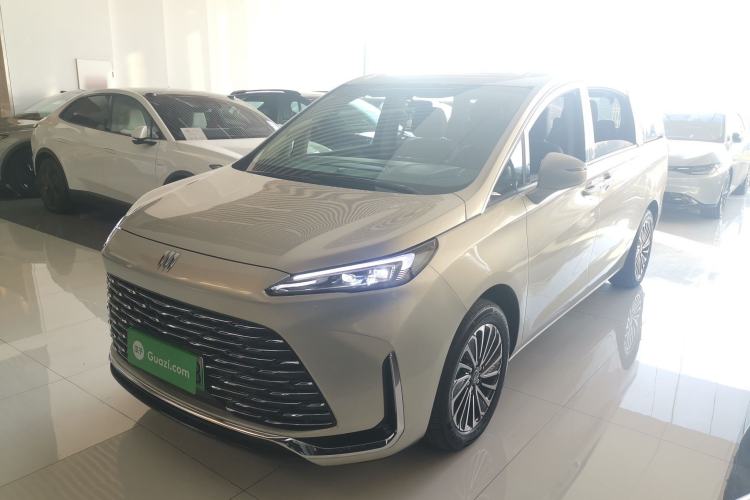 Used Buick GL8 New Energy 2025 Lushang First-Drive Edition 7-Seater