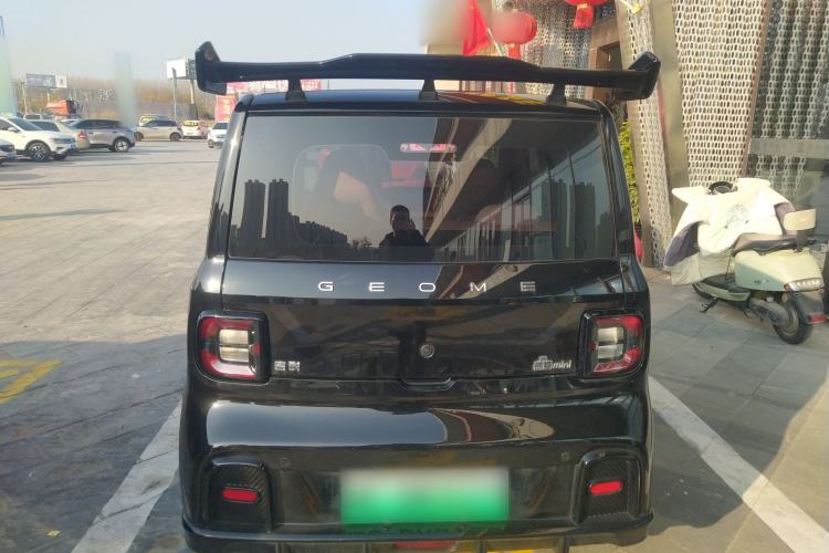 Used  Panda 2024 200km Panda Kart
