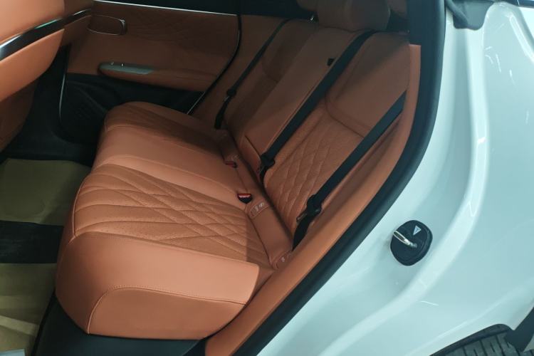 Used  S07 2023 200Max Range-Extended Version
