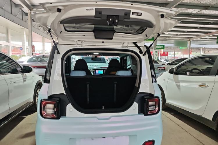 Used  Panda 2023 Panda Mini 200km Endurance Bear