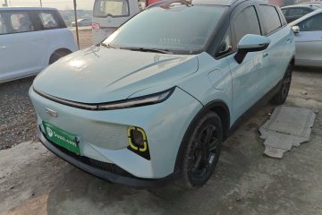 Used Geometry E Firefly 2022 401 km Linglong Tiger 4 Seats