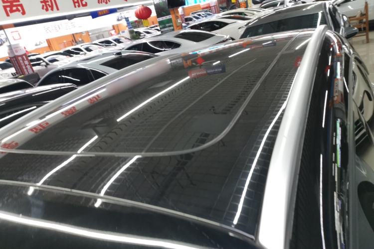 Used  #1 2023 Pro Edition