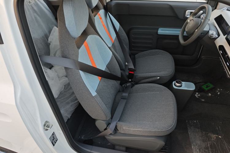 Used  Panda 2024 Panda Mini 200km Endurance Bear