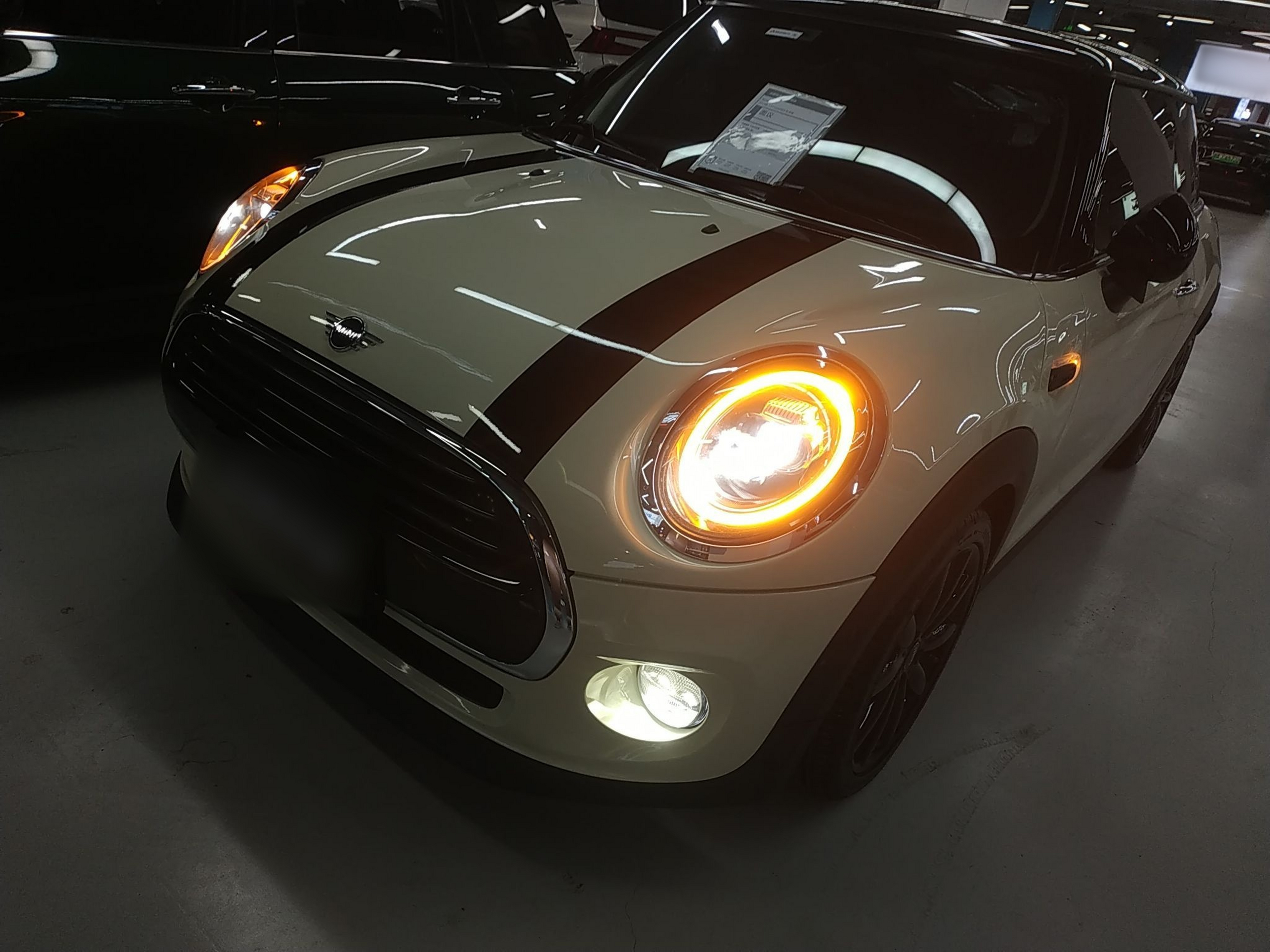 تحت مقدمة السيارة