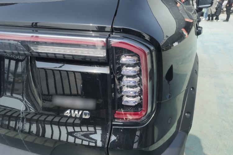 Used Haval DARGO 2024 2.0T DCT Chinese Rural Dog Edition
