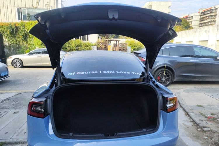 Used Tesla Model 3 2021 Revised Version Standard Range Rear-Wheel Drive Upgraded Edition 3D1