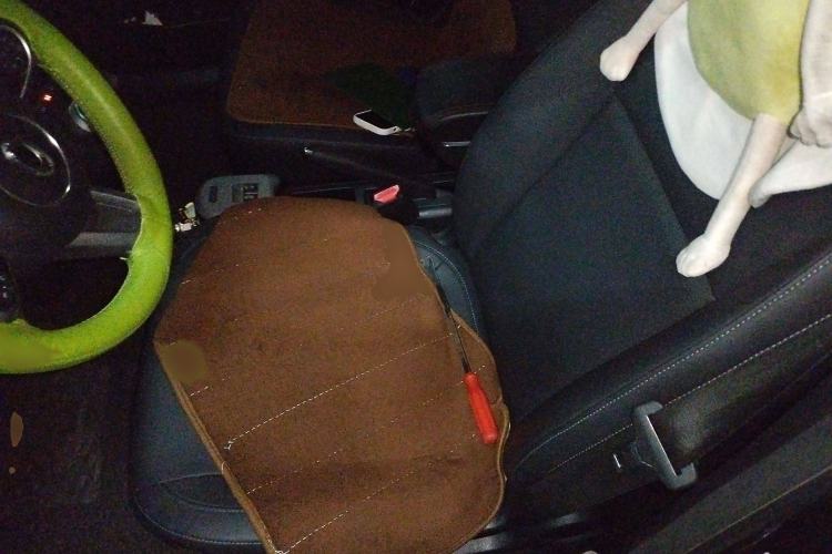 Used ORA Black Cat 2019 351 km Family Edition
