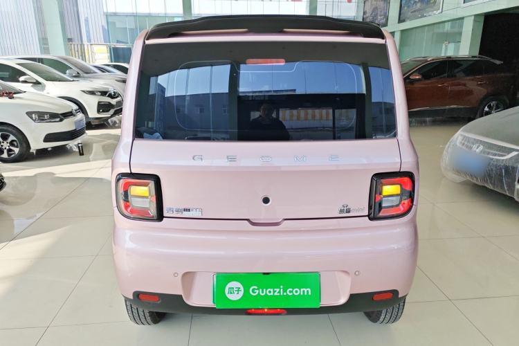 Used  Panda 2025 210 km – Yuanqi Bear