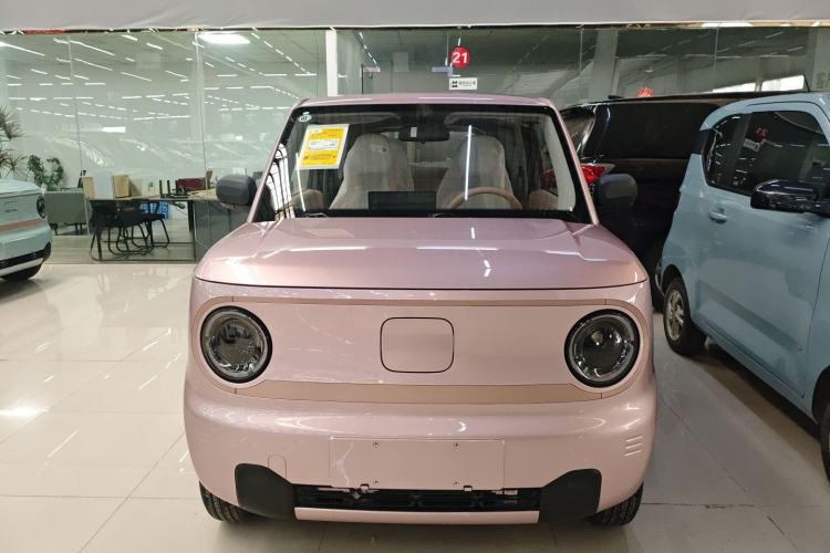 Used  Panda 2024 Panda Mini 200km Endurance Bear
