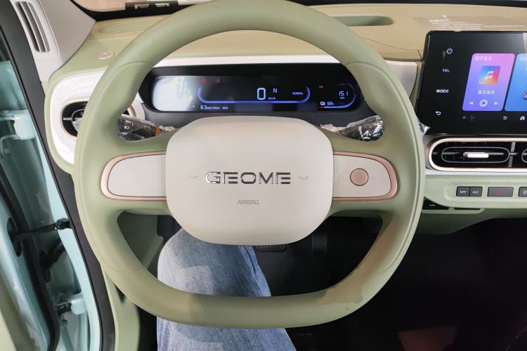 Used  Panda 2025 210 km – Yuanqi Bear
