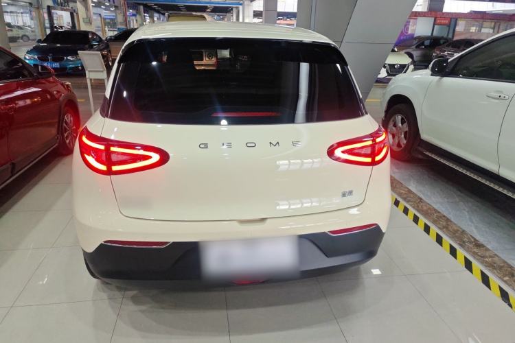 Used  Geome 2025 310km Youth Edition