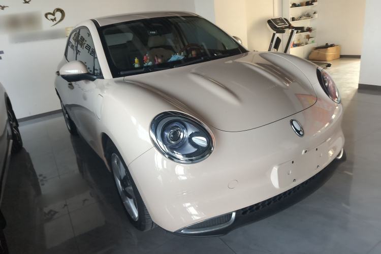 Used ORA Good Cat 2023 401 km Standard Range Luxury Version Lithium Iron Phosphate
