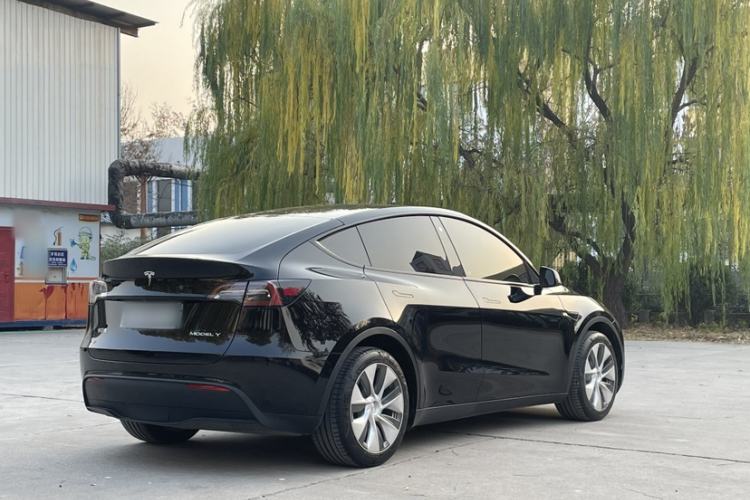 Used Tesla Model Y 2021 Standard Range Rear-Wheel Drive Version
