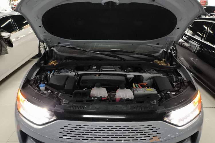 Used Leapmotor C11 2024 Range-Extended 300 Luxury Edition
