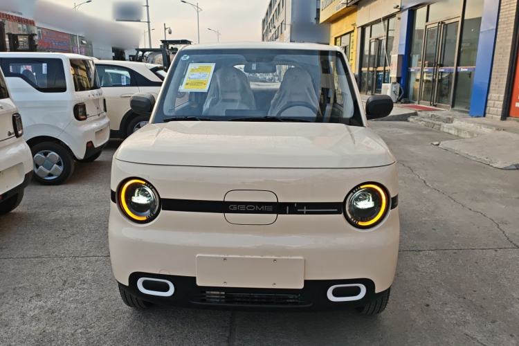 Used  Panda 2025 210 km – Yuanqi Bear
