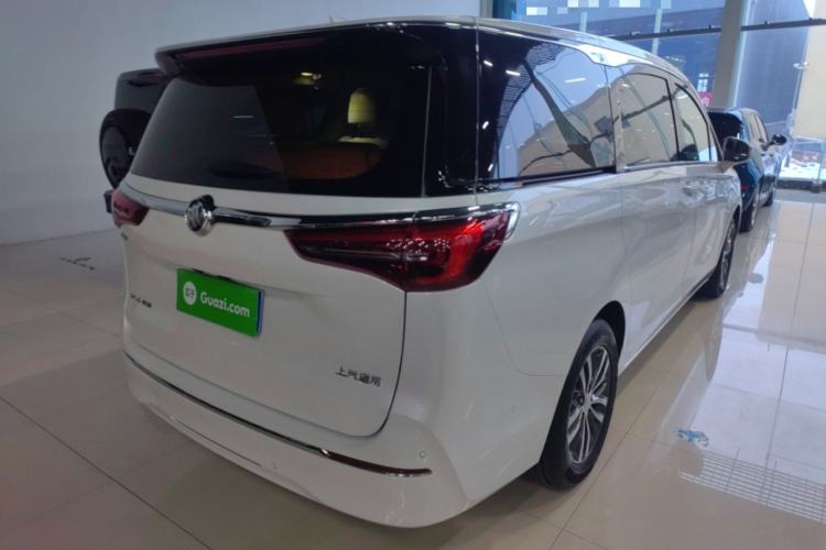 Used Buick GL8 2022 ES Landtrek 653T Luxury Edition
