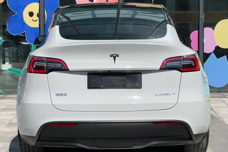 Used Tesla Model Y 2021 Standard Range Rear-Wheel Drive Version
