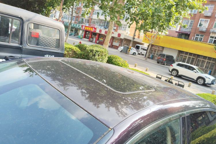 Used  5LS 2014 1.6T Elegant Version THP160
