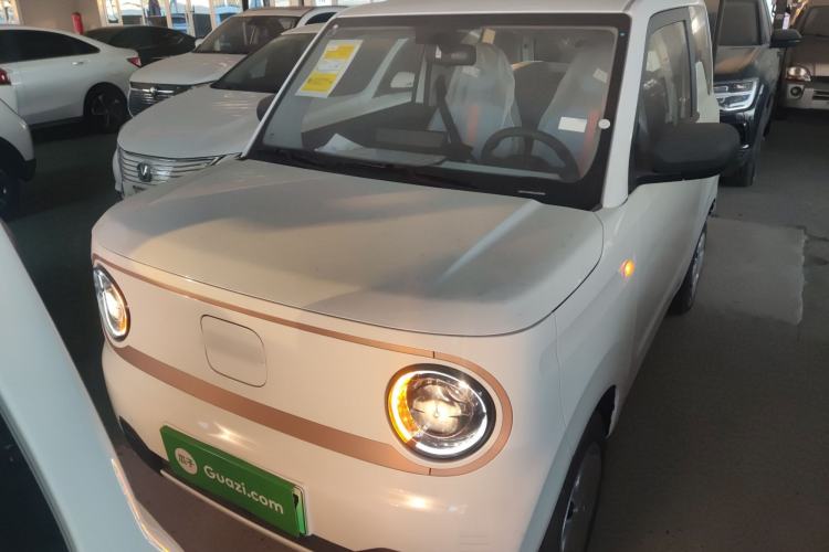 Used  Panda 2024 Panda Mini 200km Endurance Bear