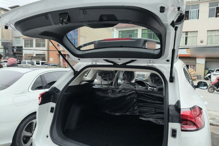 Used Haval H6 2023 National Trend Edition 1.5T Automatic Urban Version