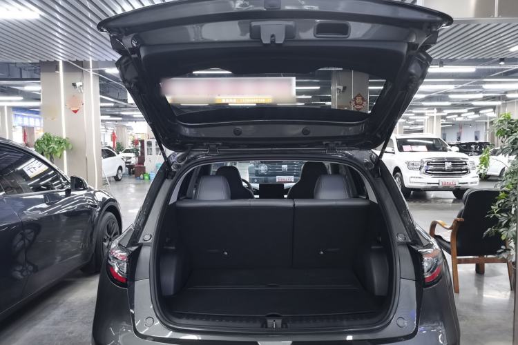 Used  Geome 2025 310km Youth Edition