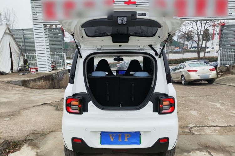 Used  Panda 2024 Panda Mini 200km Endurance Bear
