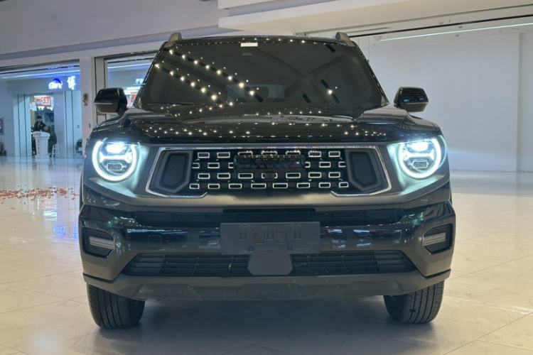 Used Haval H Dog 2023 2.0T Two-Wheel Drive Chaoye Version Plus