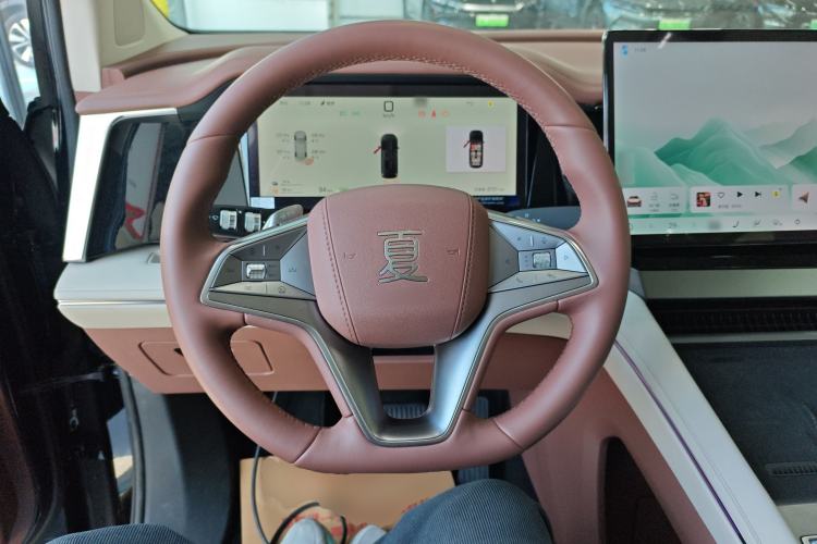 Used BYD Xia 2025 DM-i 1.5T 180km Excellence Model
