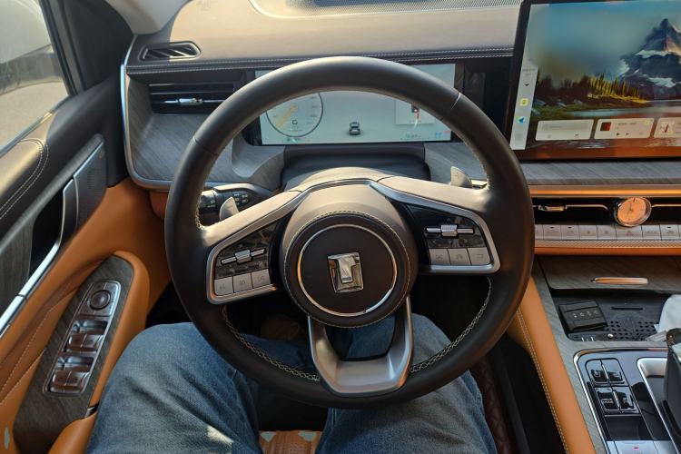 Used Tank 500 New Energy 2023 Hi4-T
