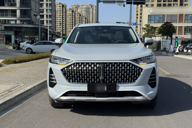 Used Wey Mocha 2021 2.0T Four-Wheel Drive Premium Edition