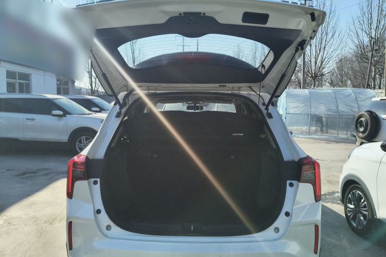 Used Venucia T60EV 2020 AI Enjoyment Model