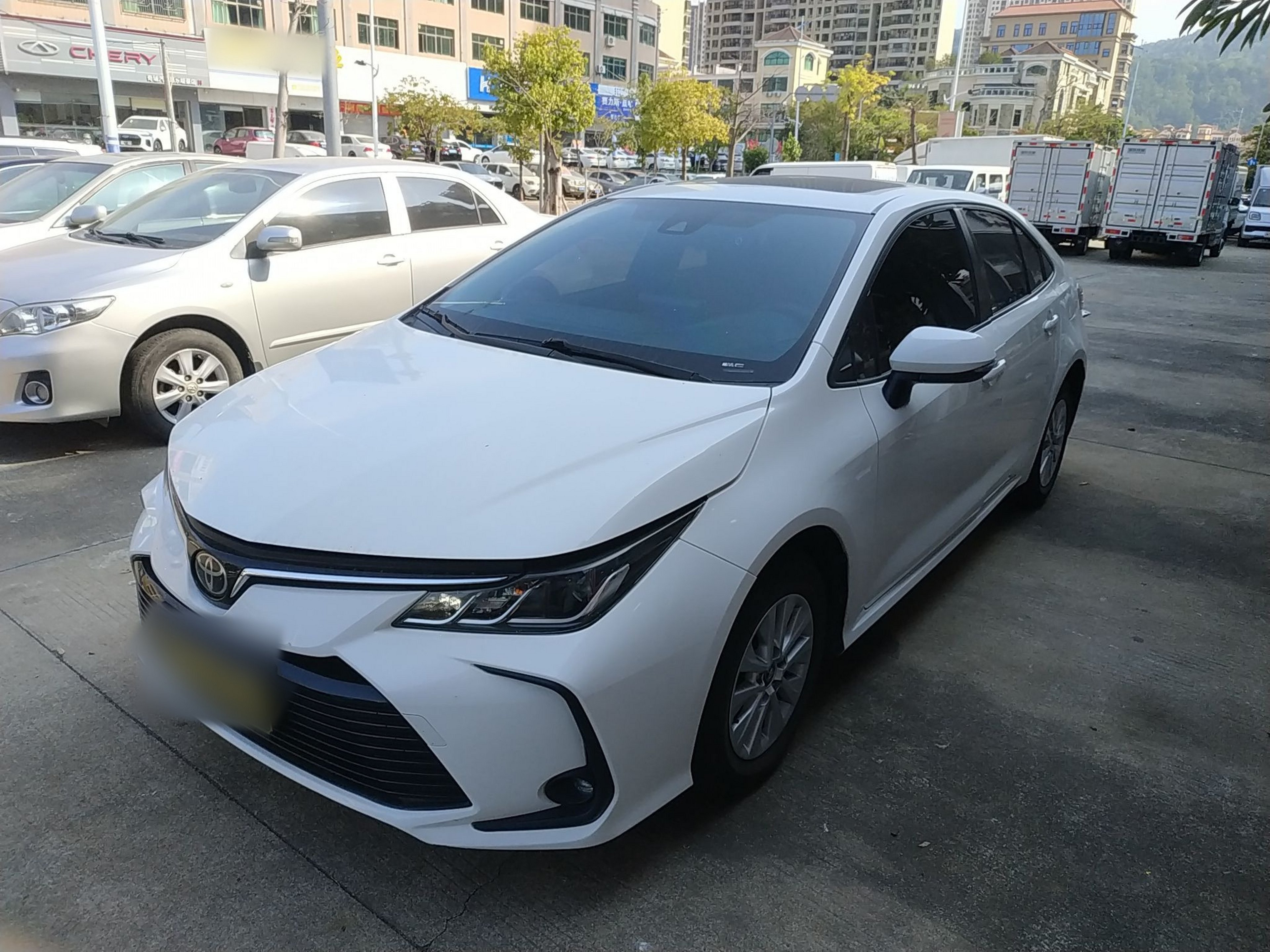 تحت مقدمة السيارة