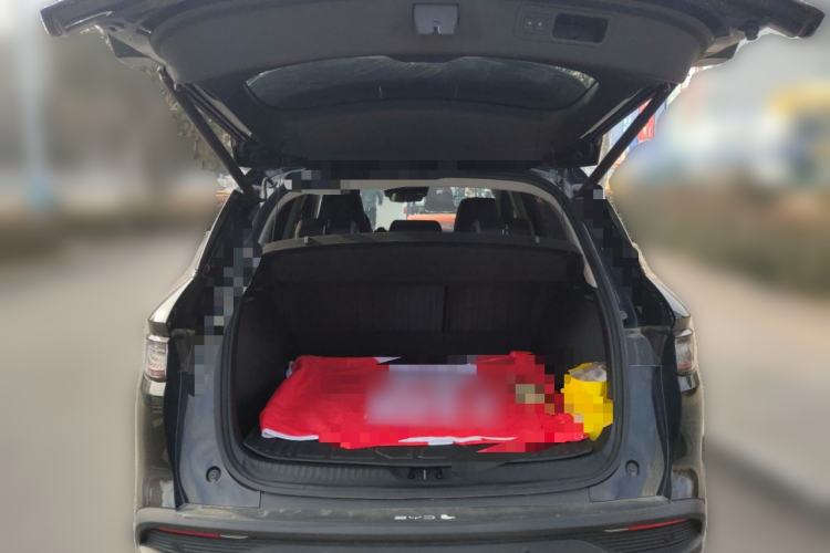 Used BYD Sealion 05 DM-i 2025 DM-i Smart Drive 115KM Prestige Model
