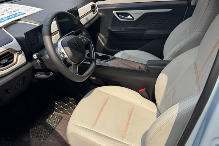 Used SOL E10X 2022 Flower Fairy Design Four-Leaf Clover
