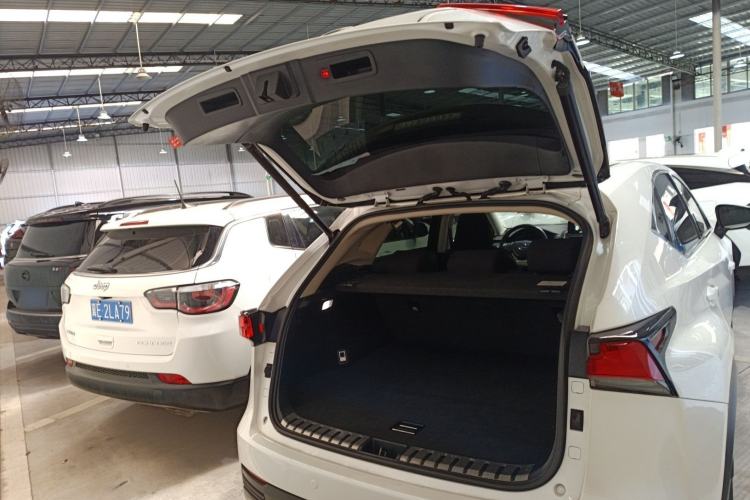 Used Lexus NX 2020 200 Front-Wheel Drive Freeline Edition China VI Standard