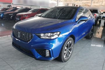 Used Wey VV5 2020 2.0T Two-Wheel Drive Pioneer