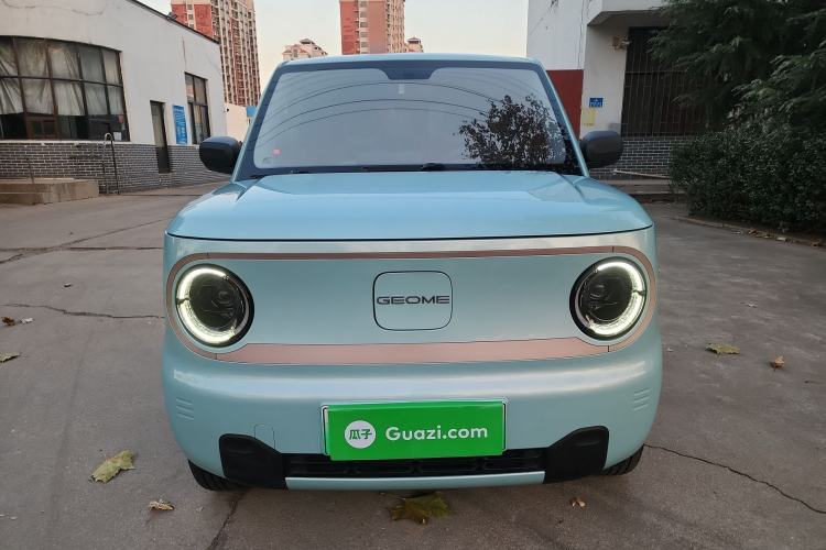 Used  Panda 2024 Panda Mini 200km Endurance Bear