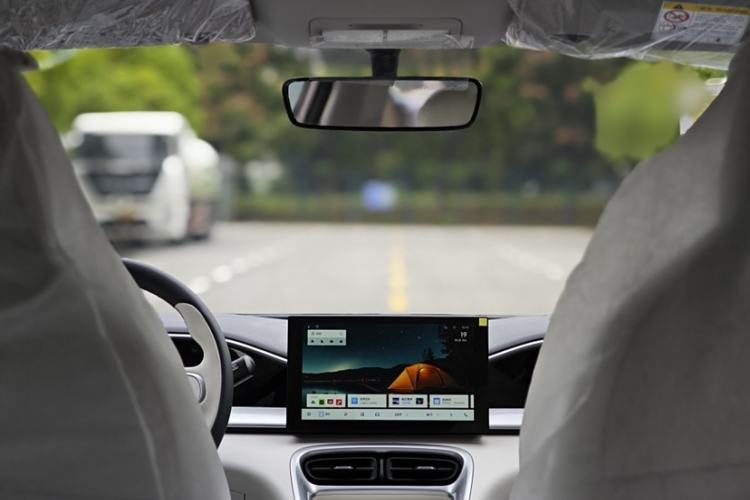 Used  Geome 2025 310km Youth Edition
