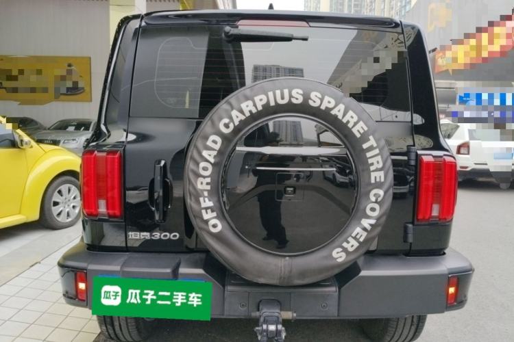 Used Tank 300 2024 2.0T Crosser
