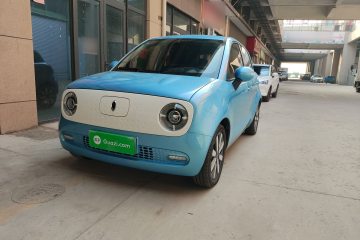 Used ORA Black Cat 2019 351 km Family Edition