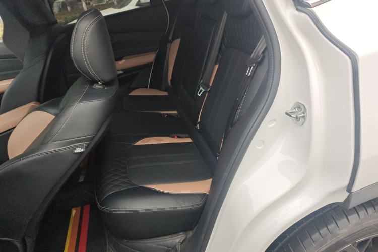 Used  TX 2021 Classic Edition 1.6T Four-Wheel Drive Star Enjoy Version