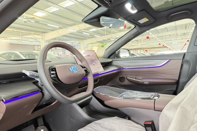 Used  A07 2025 Blue Whale Range-Extending Version 230 Flagship Model
