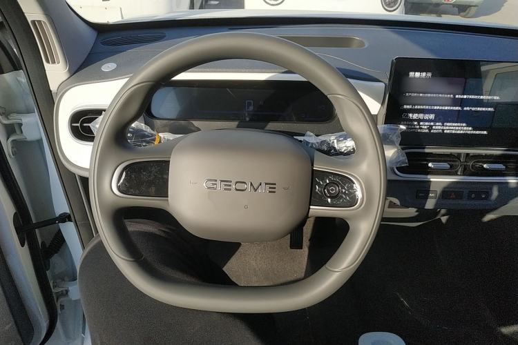 Used  Panda 2025 210 km – Yuanqi Bear
