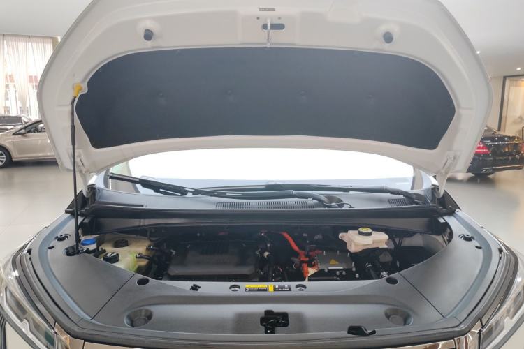 Used GAC Trumpchi E9 2023 E9 MAX
